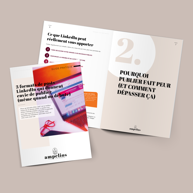 Guide Ampelios pour créer des posts LinkedIn efficaces dans le vin, le champagne et le tourisme