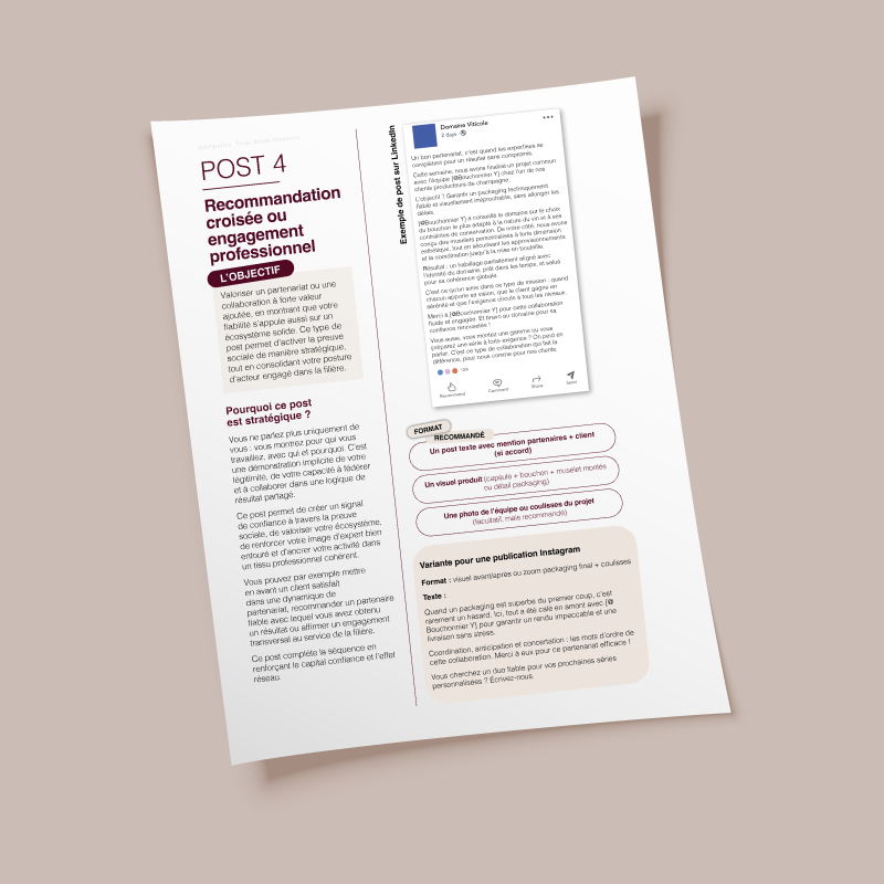 Guide Ampelios pour aider les prestataires du vin et du champagne à valoriser leur savoir-faire et leur expertise sur les réseaux sociaux
