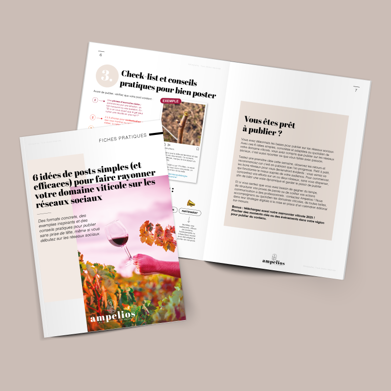 Guide Ampelios pour aider les domaines viticoles à créer des publications efficaces sur les réseaux sociaux et valoriser leur communication