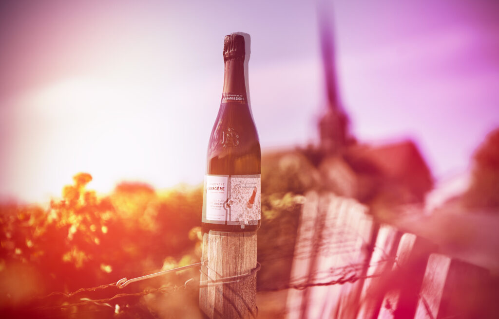 prise de vue champagne A.Bergère dans les vignes