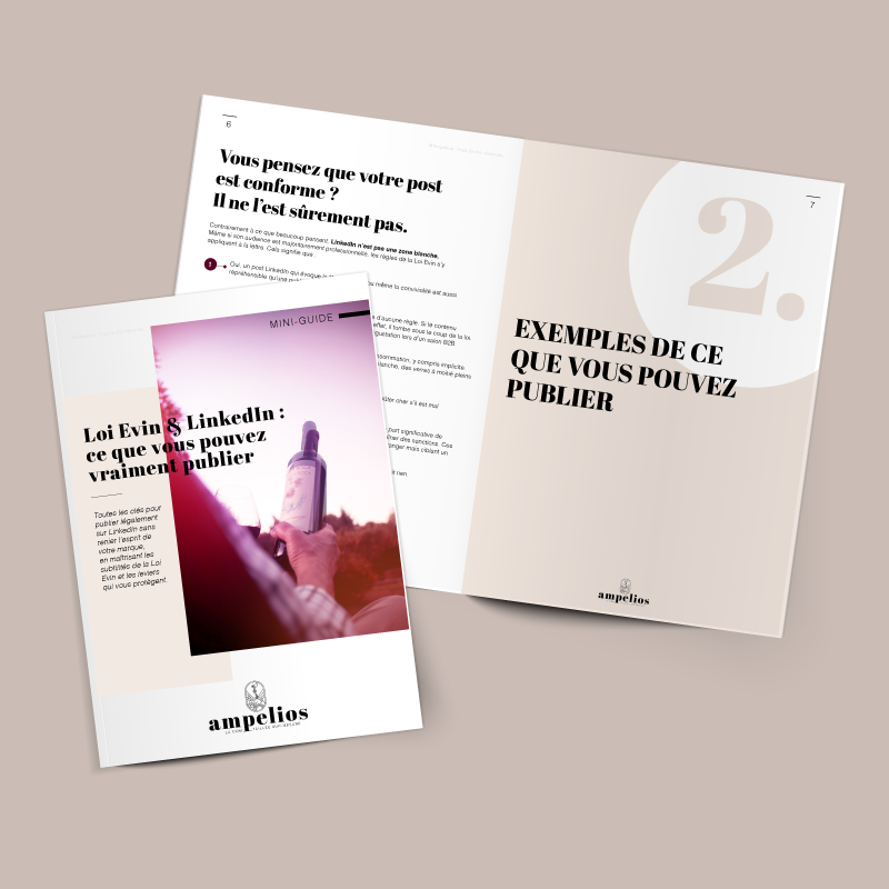 Loi Evin réseaux sociaux : guide pour publier dans le vin et le champagne | Ampelios